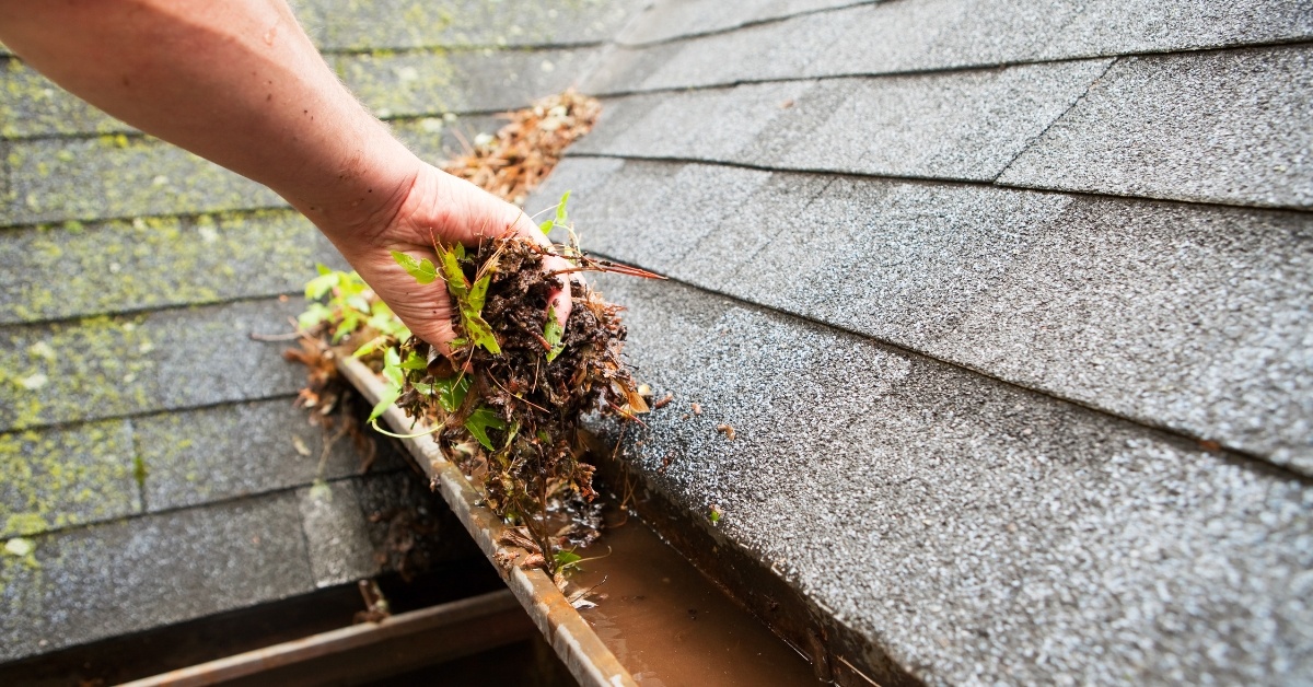 gutter maintenance